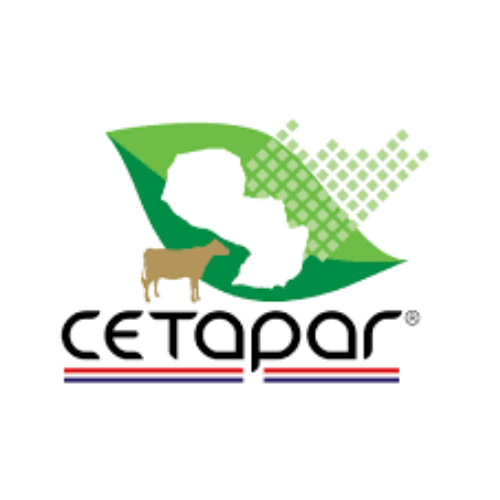 Fundación Nikkei-Cetapar